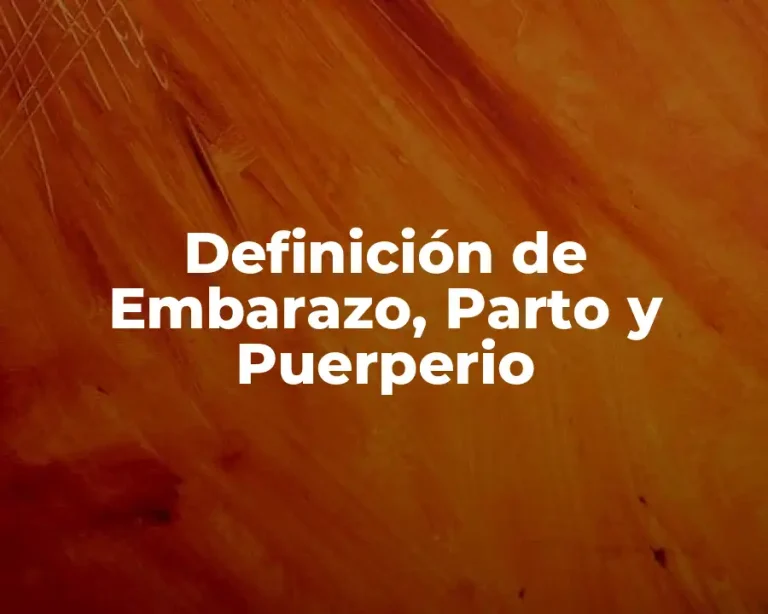Definición de Embarazo, Parto y Puerperio
