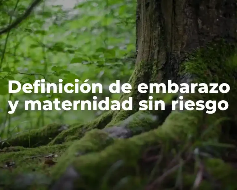 Definición de embarazo y maternidad sin riesgo