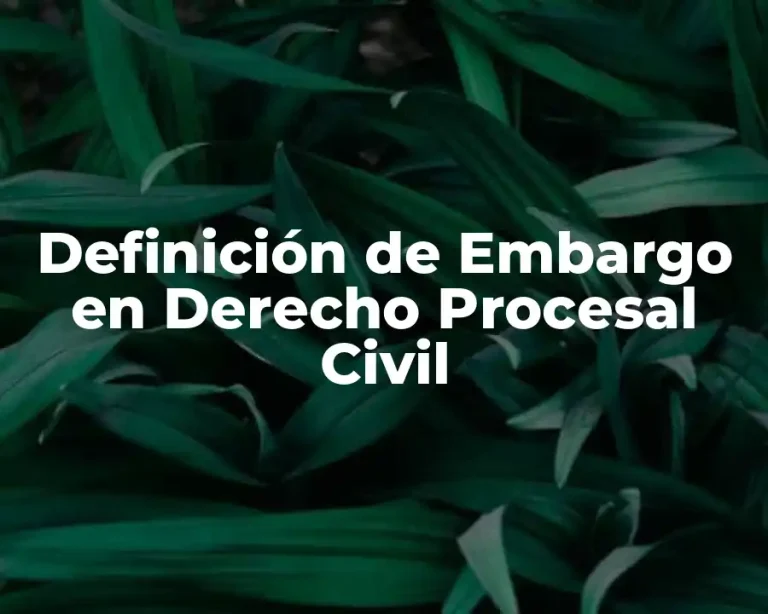 Definición de Embargo en Derecho Procesal Civil