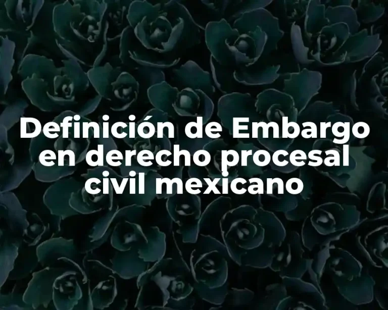 Definición de Embargo en Derecho Procesal Civil Mexicano