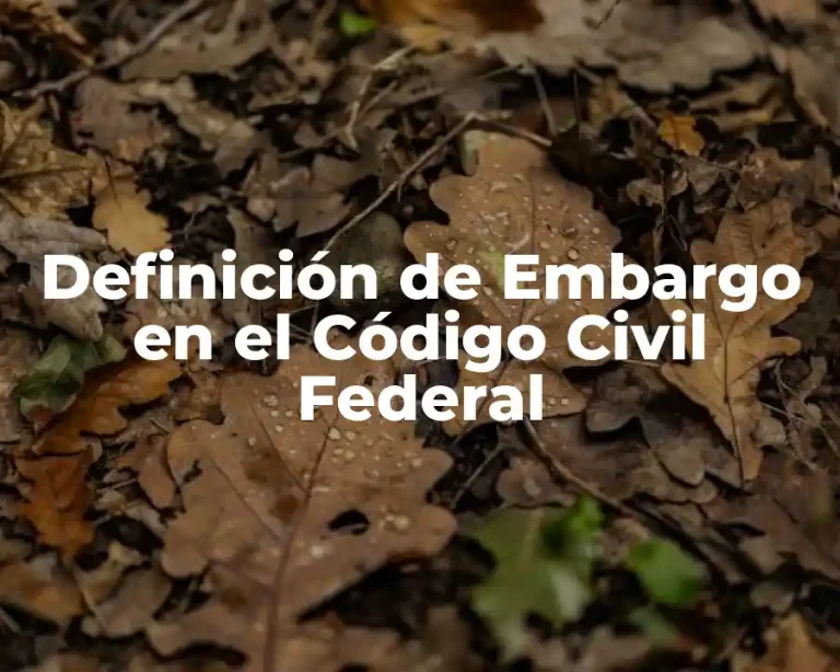 Definición de Embargo en el Código Civil Federal