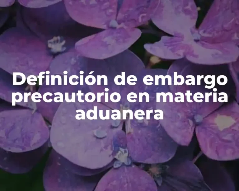 Definición de embargo precautorio en materia aduanera