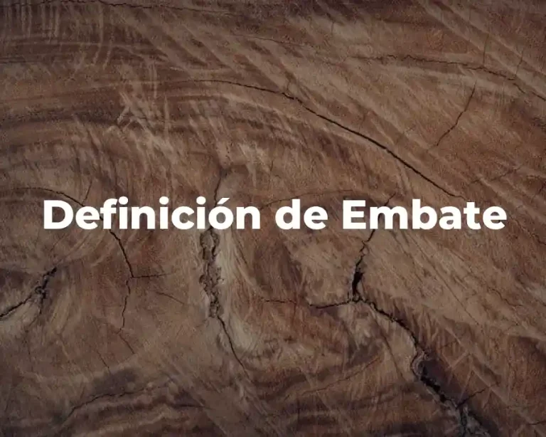Definición de Embate