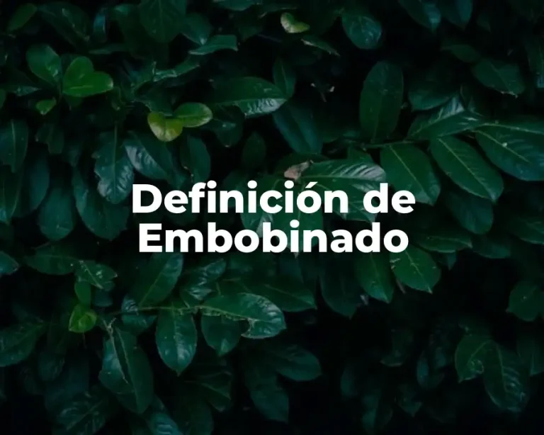 Definición de Embobinado