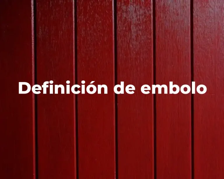 Definición de embolo