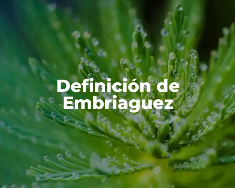 Definición de Embriaguez