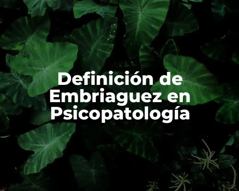 Definición de Embriaguez en Psicopatología