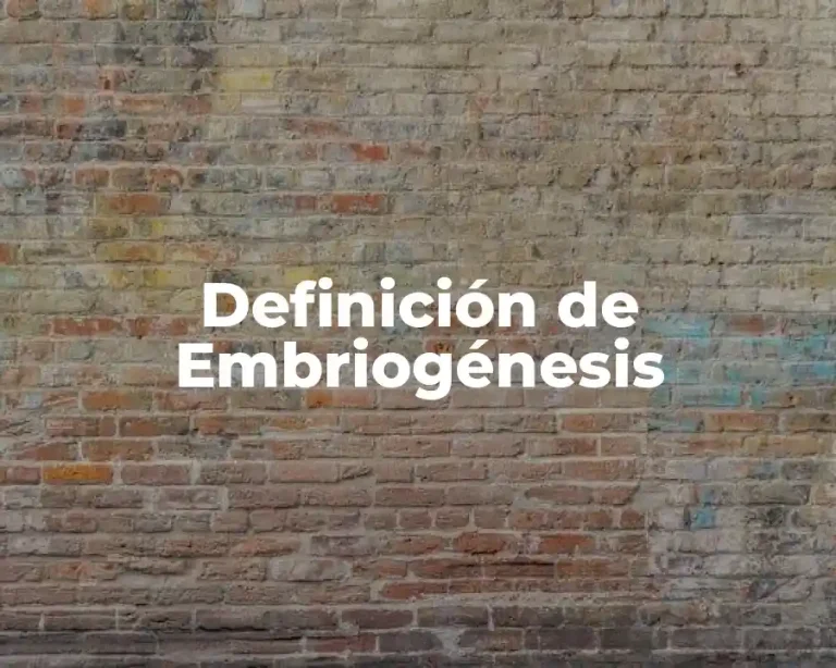 Definición de Embriogénesis