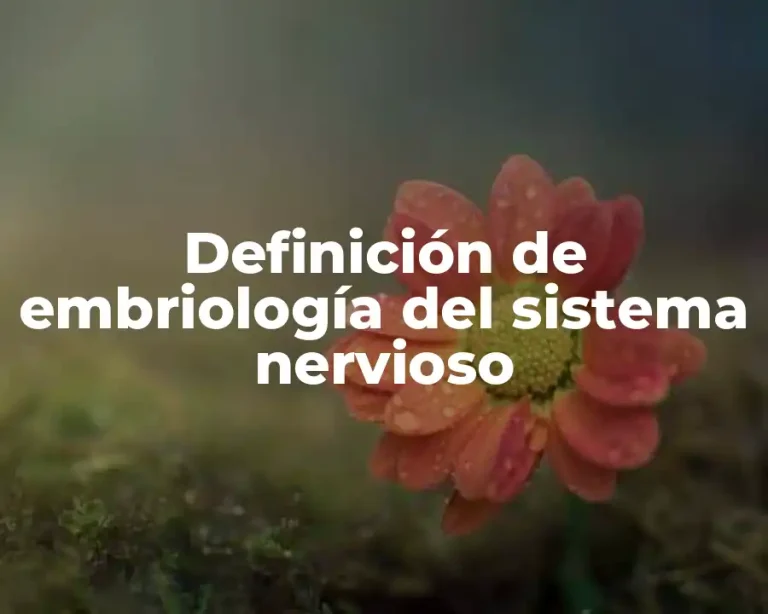 Definición de embriología del sistema nervioso