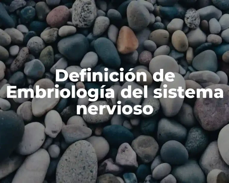 Definición de Embriología del sistema nervioso