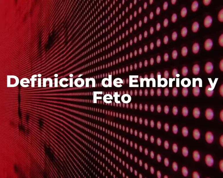 Definición de Embrion y Feto