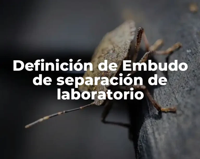Definición de Embudo de separación de laboratorio
