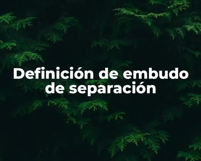 Definición de embudo de separación