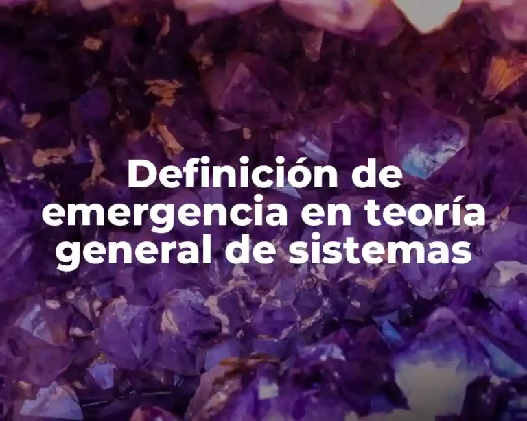 Definición de emergencia en teoría general de sistemas