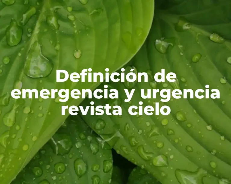 Definición de emergencia y urgencia revista cielo