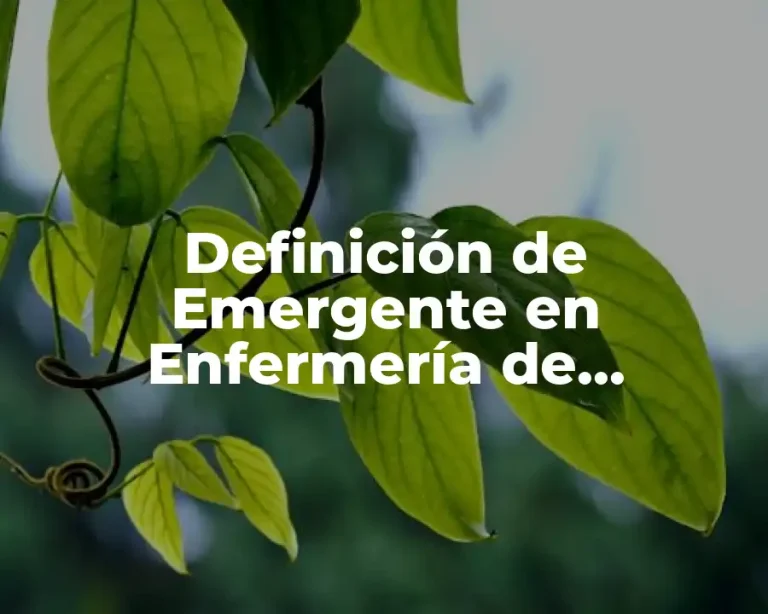 Definición de Emergente en Enfermería de Urgencias