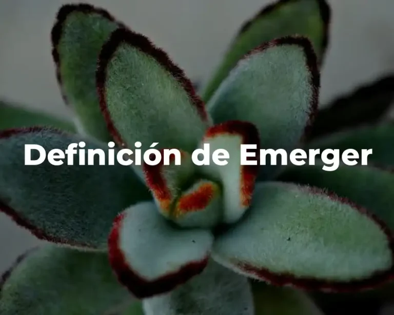 Definición de Emerger