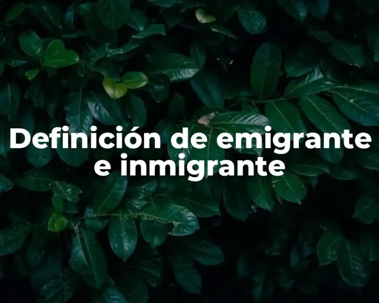 Definición de emigrante e inmigrante