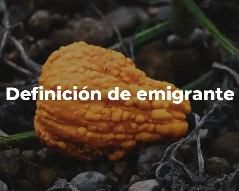 Definición de emigrante