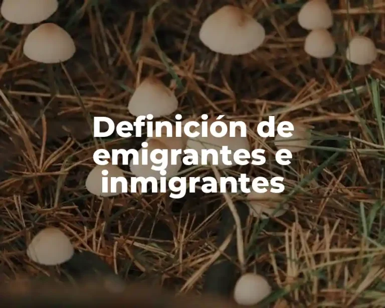 Definición de emigrantes e inmigrantes