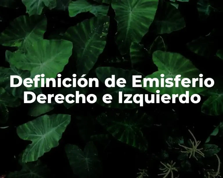 Definición de Emisferio Derecho e Izquierdo