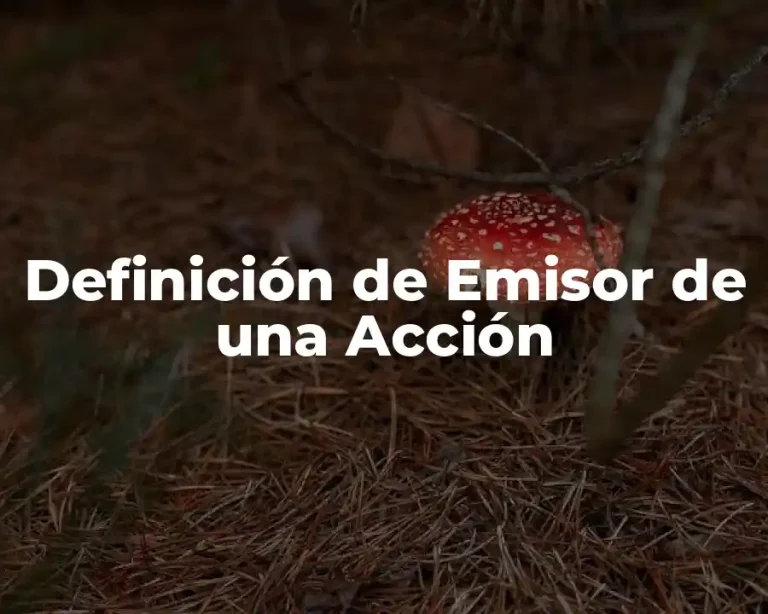 Definición de Emisor de una Acción