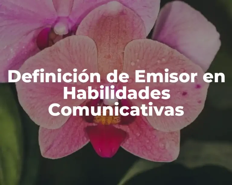Definición de Emisor en Habilidades Comunicativas