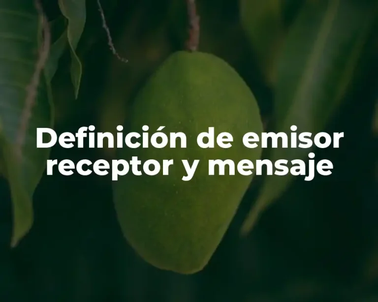 Definición de emisor receptor y mensaje
