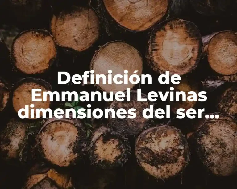 Definición de Emmanuel Levinas dimensiones del ser humano por