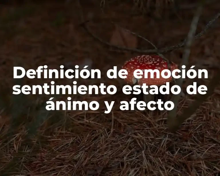 Definición de emoción sentimiento estado de ánimo y afecto