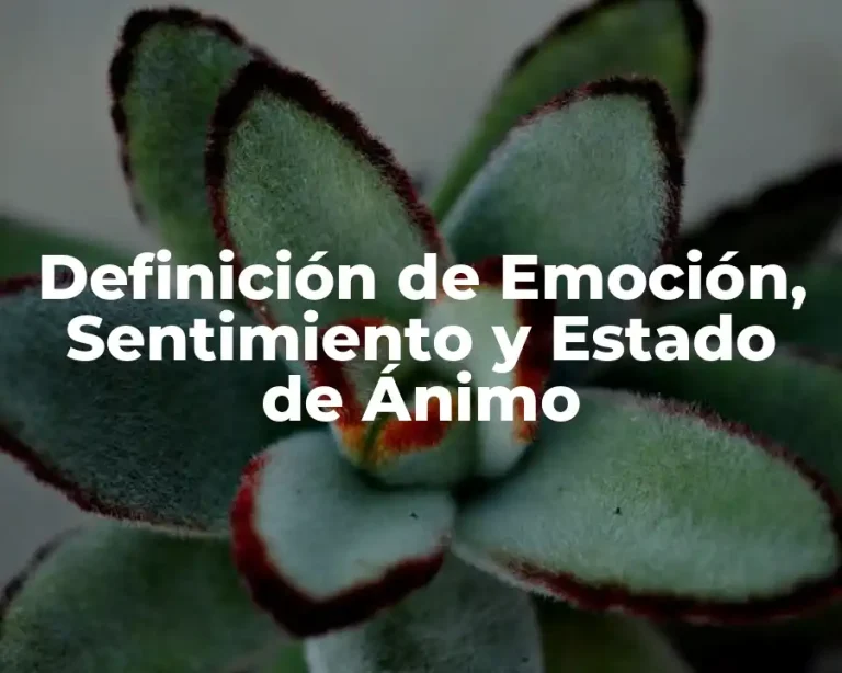 Definición de Emoción, Sentimiento y Estado de Ánimo