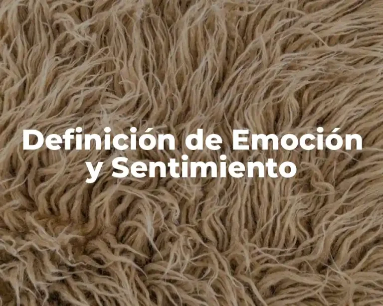 Definición de Emoción y Sentimiento