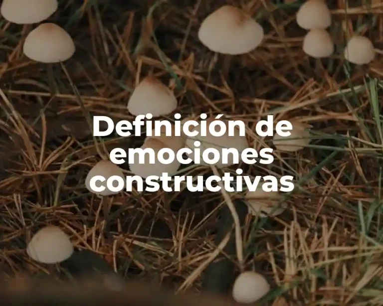 Definición de emociones constructivas