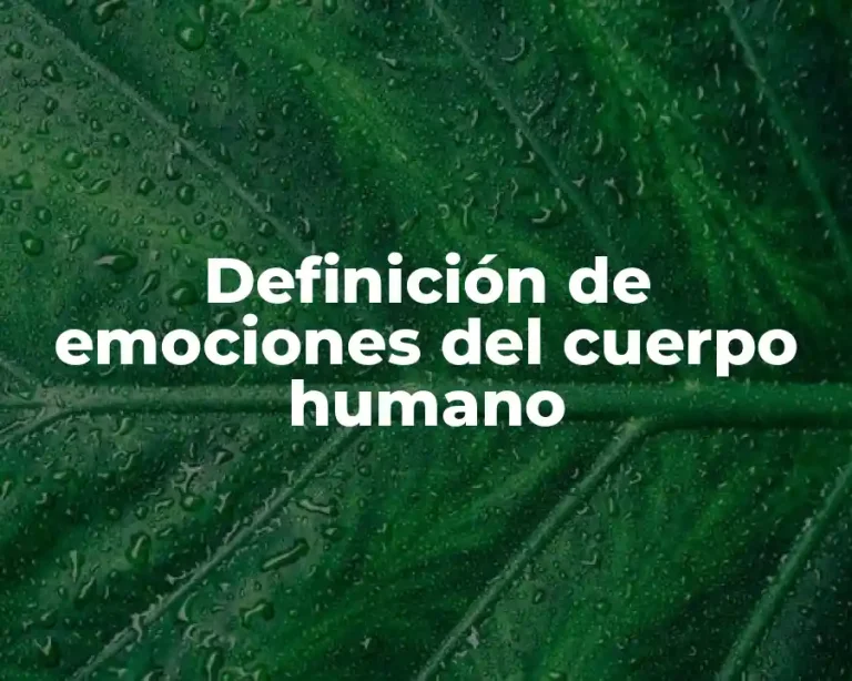 Definición de emociones del cuerpo humano