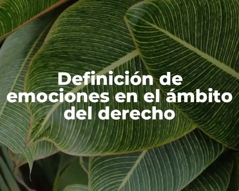 Definición de emociones en el ámbito del derecho