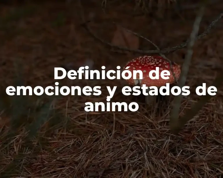 Definición de emociones y estados de animo