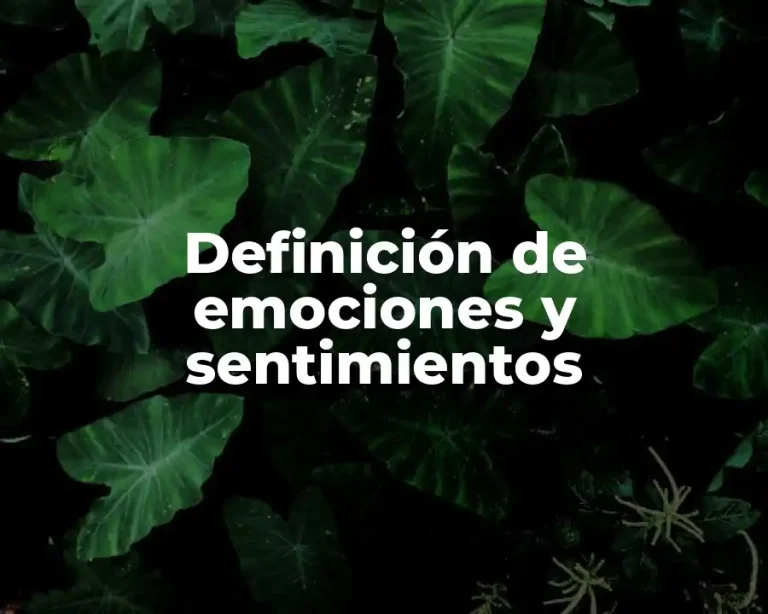 Definición de emociones y sentimientos