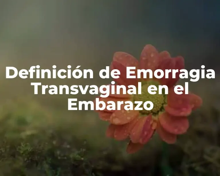 Definición de Emorragia Transvaginal en el Embarazo