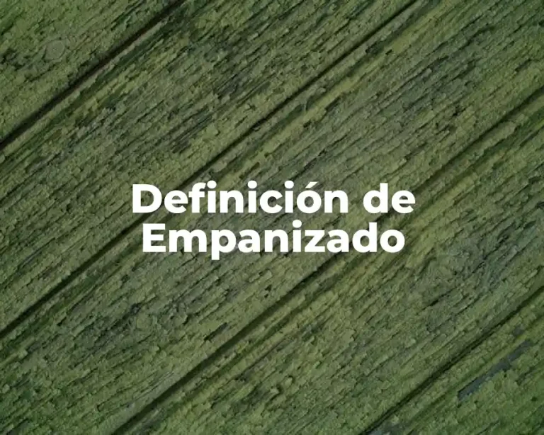 Definición de Empanizado