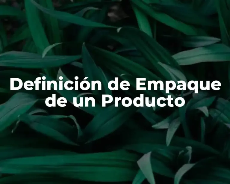 Definición de Empaque de un Producto