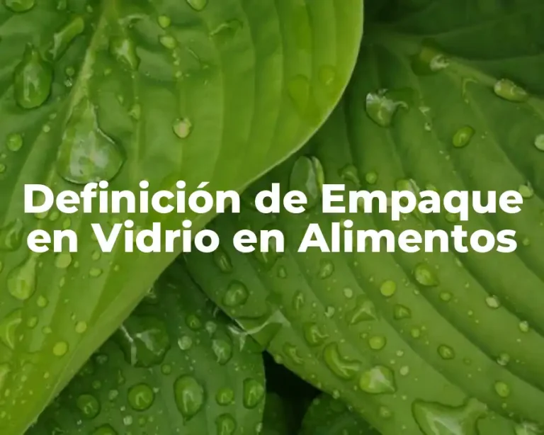 Definición de Empaque en Vidrio en Alimentos