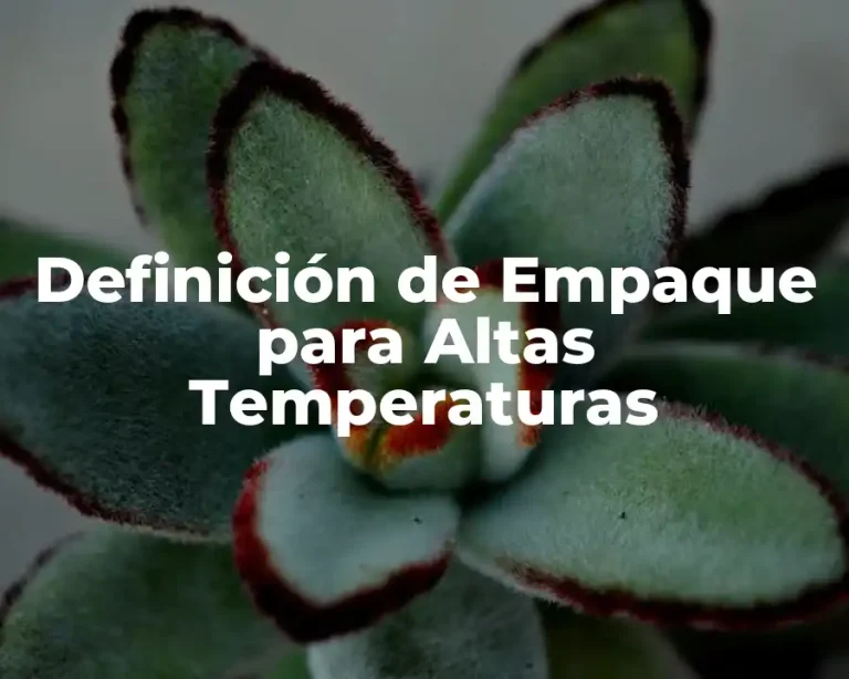 Definición de Empaque para Altas Temperaturas