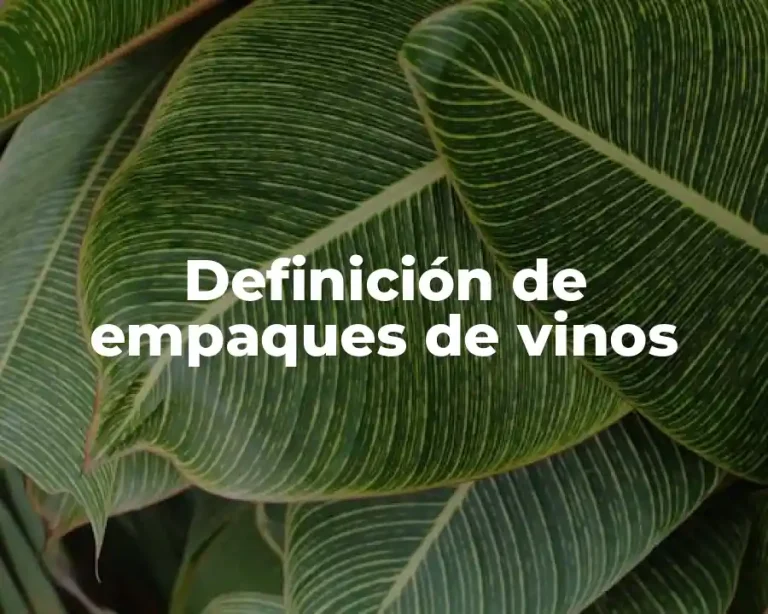 Definición de empaques de vinos