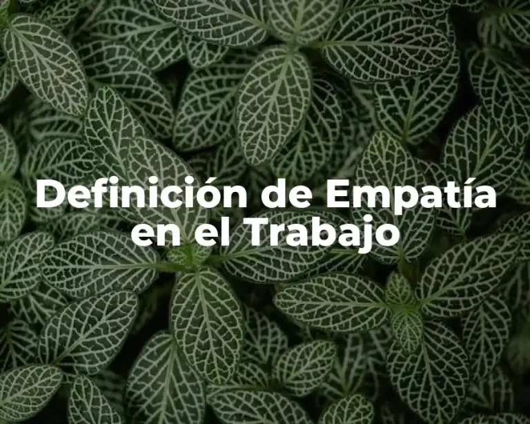 Definición de Empatía en el Trabajo