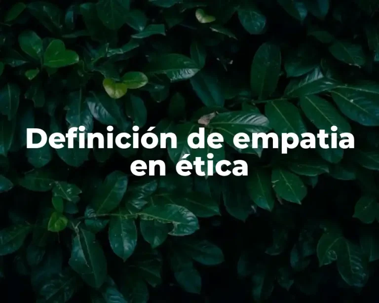 Definición de empatia en ética