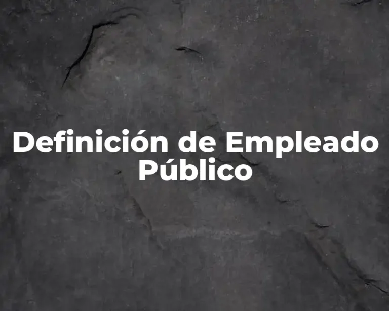Definición de Empleado Público
