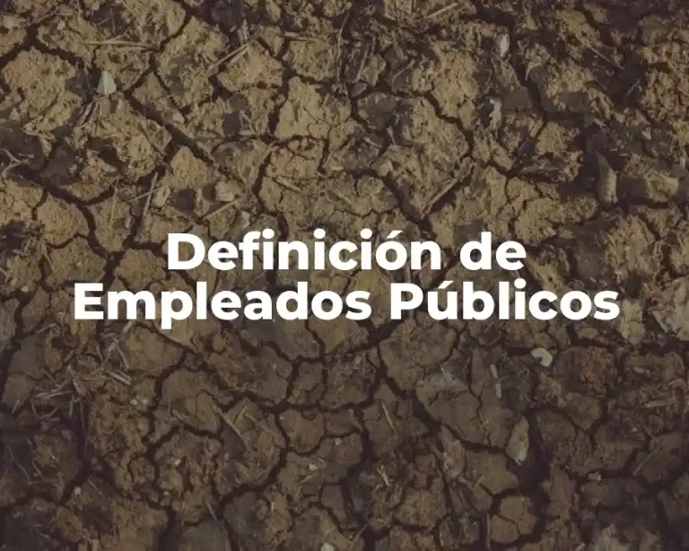 Definición de Empleados Públicos