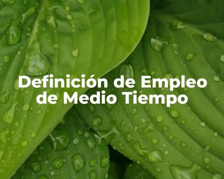 Definición de Empleo de Medio Tiempo