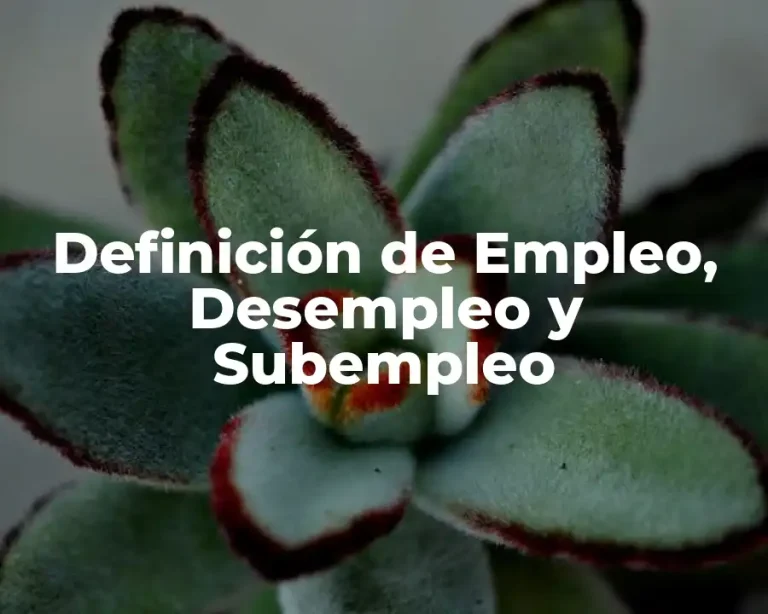 Definición de Empleo, Desempleo y Subempleo