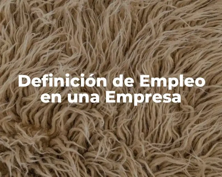 Definición de Empleo en una Empresa